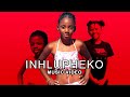 Inhlupheko Music Video ATB