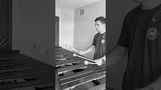 Marimba Practice ivantrevino marimbaone  anthem marimba  ian percussionist