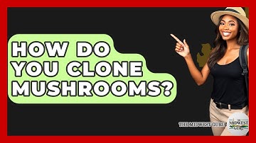 How Do You Clone Mushrooms? - The Midwest Guru