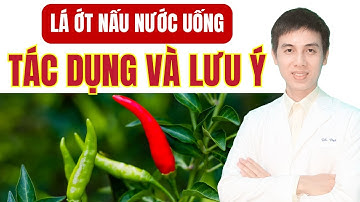 Lấy Lá Ớt Nấu Nước Uống Có Tác Dụng Gì ? Lưu Ý Gì Khi Sử Dụng | Dược sĩ Đạt