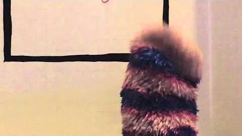 Combined Gas Law Puppet Show