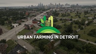 Urban Farming in Detroit: Cultivating Community, Sustainability and Regeneration