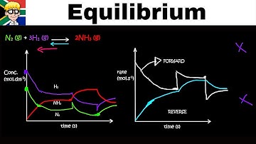 Equilibrium Graphs grade 12: Concentration