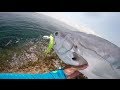Queenfish fly fishing in the Thai Gulf