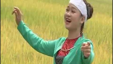 Hoa đất Mường  - Ánh Nguyệt