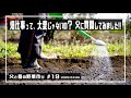 【無農薬野菜 作り方】無農薬野菜の作り方を埼玉県で家庭菜園Vlogとして配信中！父に苦労することは何か、聞いてみました！