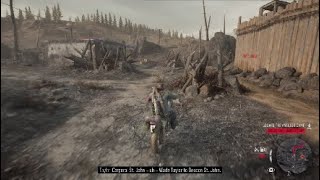 Funny Days Gone glitch