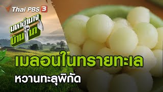 ปลูกเมลอนในทรายทะเล หวานทะลุพิกัด : มหาอำนาจบ้านนา (4 ต.ค. 63)