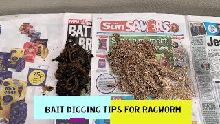 Bait digging tips for ragworm