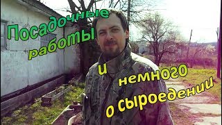 Посадочные работы и немного о сыроедении Посадочные работы и немного о сыроедении