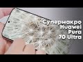 Макросъемка на HUAWEI Pura 70 Pro и 70 Ultra