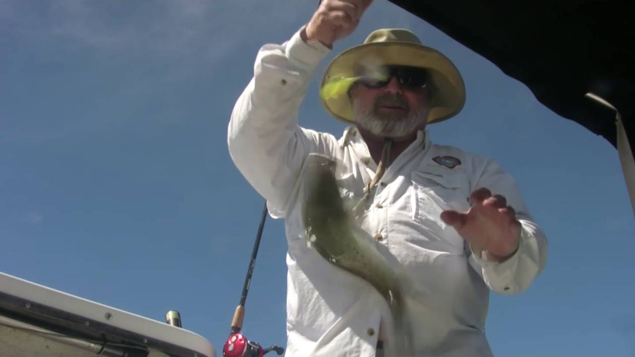 Trout Fishing Soft Plastic Fishing Bait