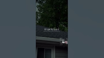 قرآن 🩶 | القارئ : محمد اللّحيدان ، أجر لي ولكم ، ( الفيديو مو لي )