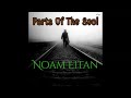 Noam Eitan - Parts of the soul