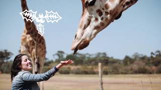 Celebrity Help Our Wildlife With A Zoo Membership Wealth