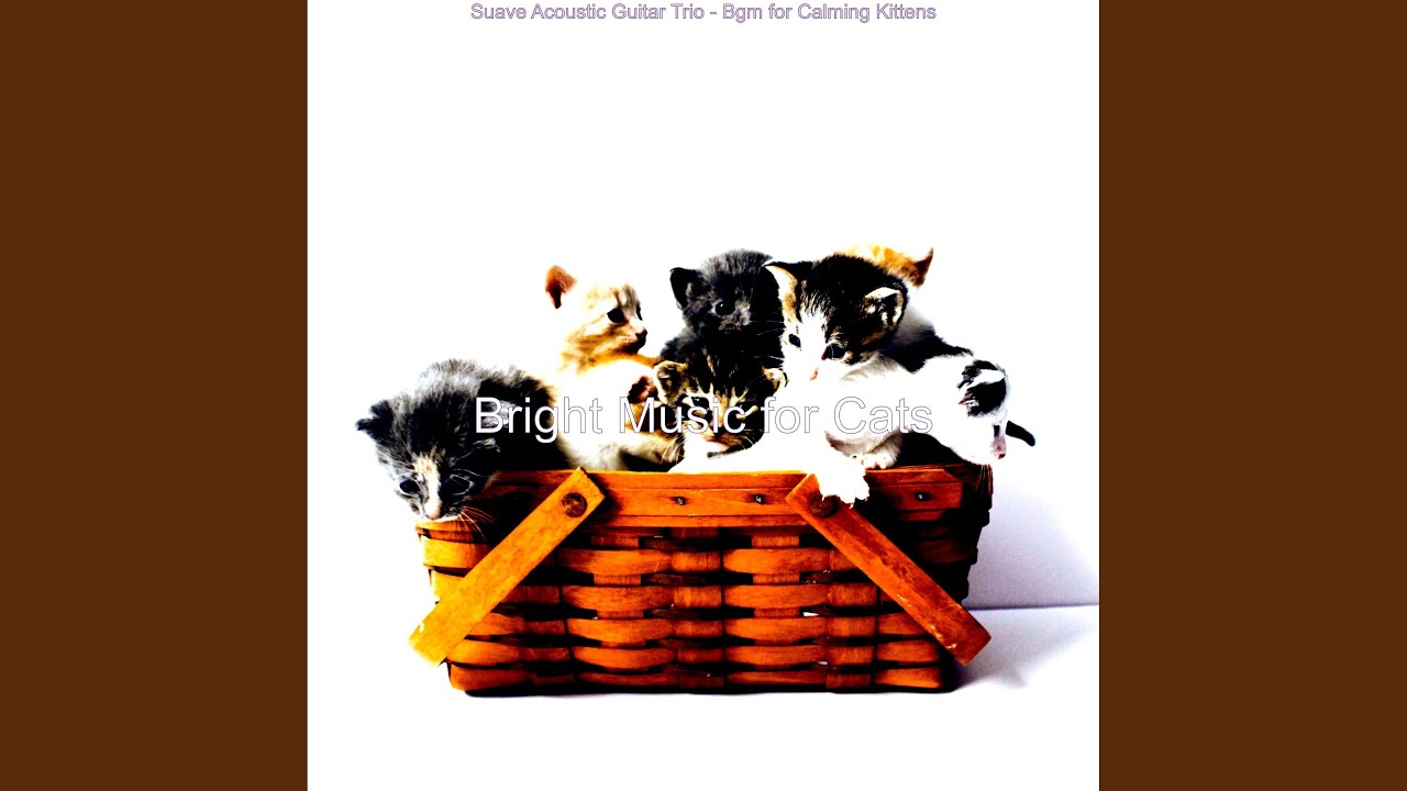 Refined Music for Sleeping Cats