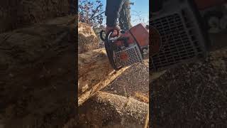 Stihl Ms461 - Chainsaw #shorts #chainsaw #tools