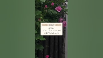 سورة آل عمران • SURAH ALI-IMRAN • قران كريم بتلاوة الشيخ محمد المنشاوي