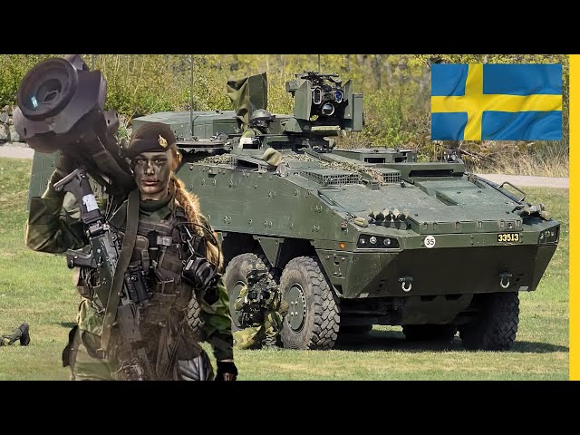 Review of All Swedish Armed Forces Equipment / Quantity of All Equipment class=