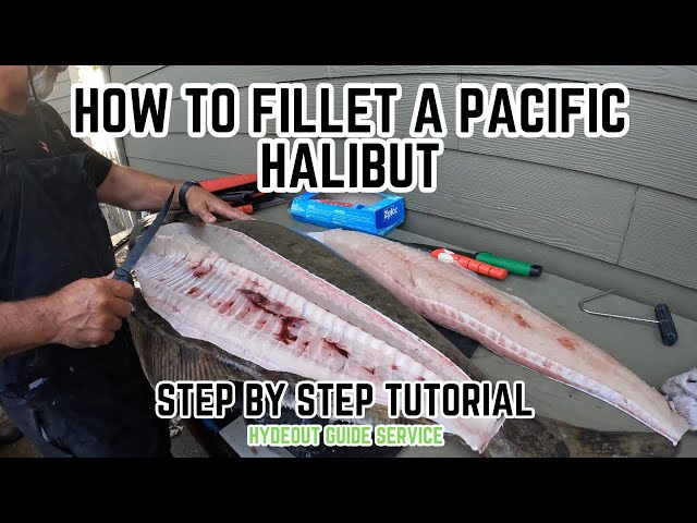 Pacific Halibut Fishing Guide  How to Catch a Pacific Halibut