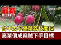 台中太平黑葉荔枝開採 高單價成竊賊下手目標【最新快訊】