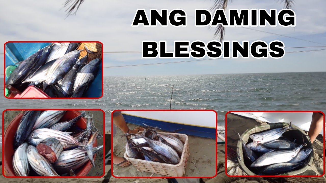 ANG DAMING HULING ISDA | nakakatuwa sumalubong sa mga lumaot