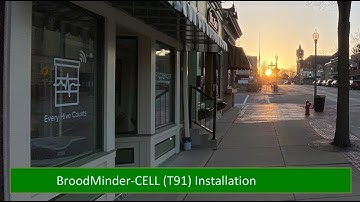 BroodMinder-CELL (T91) Installation