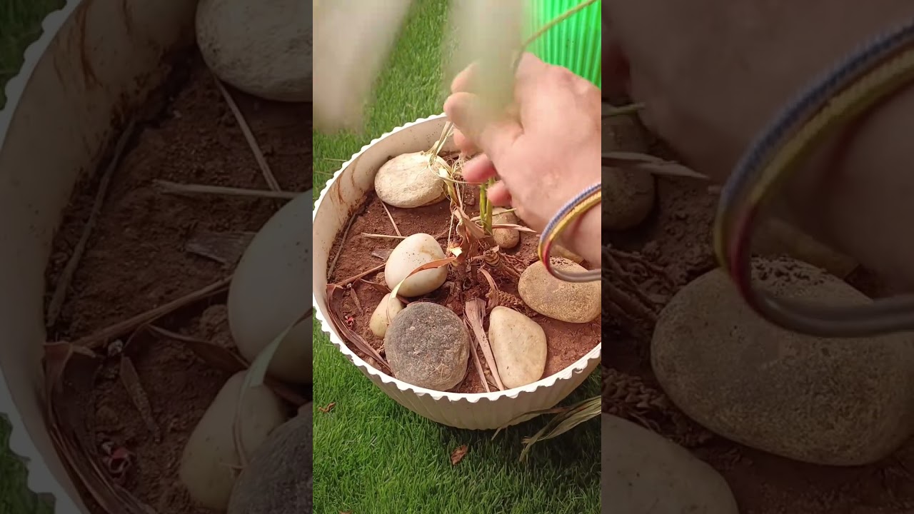 aaj karte h apne balcony clean 