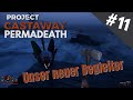 Wilson &amp; Ausbau der Siedlung 🏝️ Project Castaway Permadeath #11