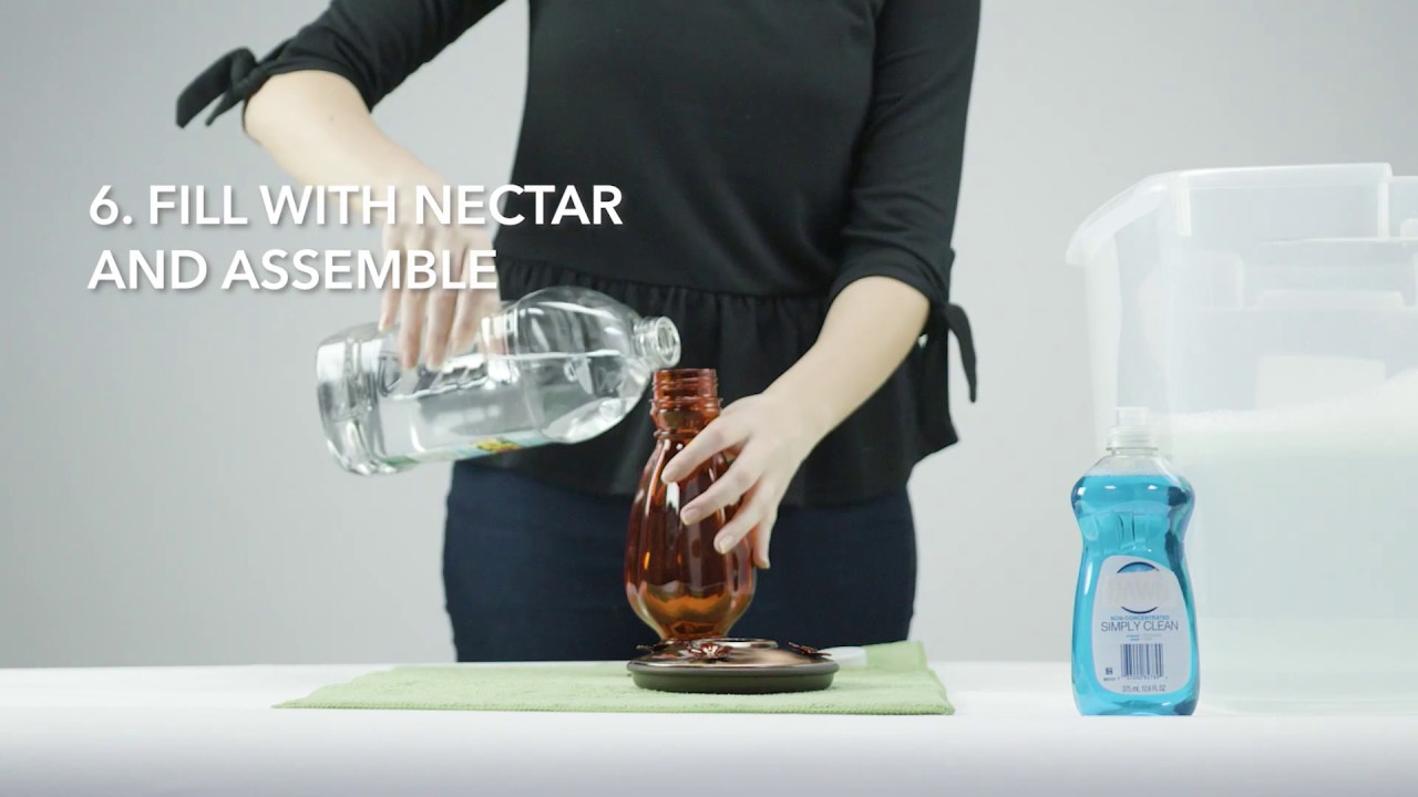 How to Clean and Fill the Perky-Pet® Daisy Vase Vintage Hummingbird ...