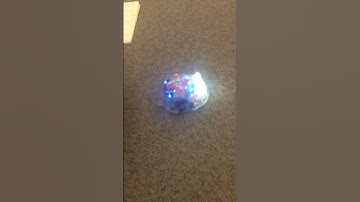 Blue Bots