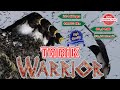 Suara Tarik Walet Warrior Special Edition Mp3 - Mp4 Download