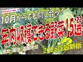 10月からでも間に合う！年内収穫できる野菜15選（2026年版）