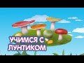 Раскраска Лунтик - Мультик про Грибы для детей