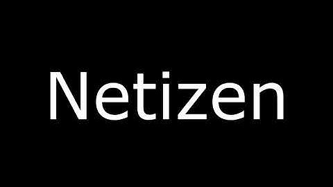 Netizen Meaning