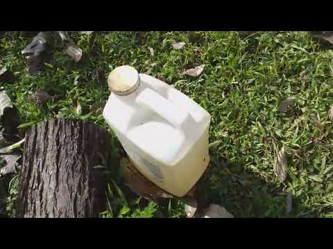 AJO Y TABACO REMEDIO CASERO PARA AULLENTAR  LA SERPIENTE. hqdefault