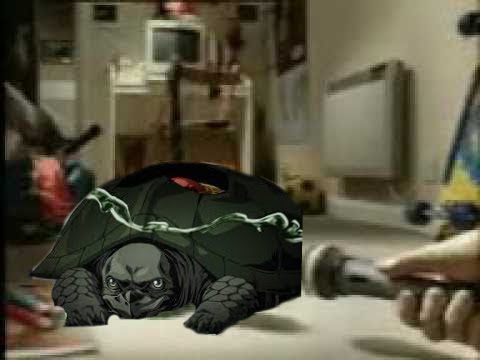fighting persian turtles with mr president
