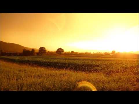 Putar Happy Days - Dirk Maassen