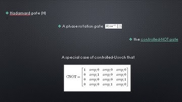 Universal Quantum Computation