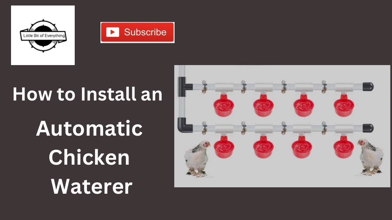 How to Install an Automatic Chicken Waterer - YouTube