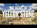 Hiking 40 Miles ALONE In Yellowstone National Park Backpacking The Lamar Valley