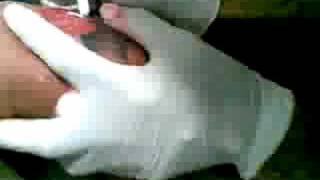 Celebrity wild child tattoo Net Worth