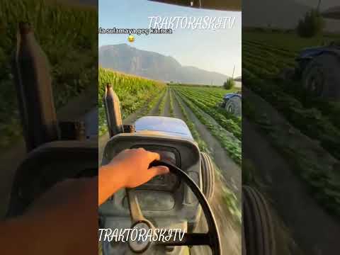 TikTok Traktör Videoları #tiktok #shorts #masseyferguson #newholland #case #başak #deutz_fahr