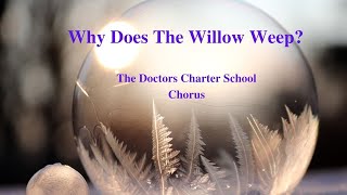 Why Does the Willow Weep North Dade Nursing & Rehabilitation Center