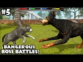 Ultimate Cat Simulator - Boss Battles - Android/iOS - Gameplay Episode 5