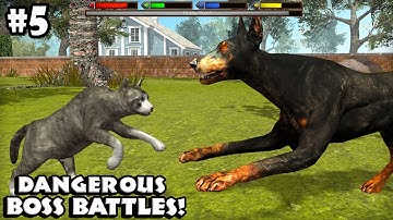 Ultimate Cat Simulator - Boss Battles - Android/iOS - Gameplay Episode 5