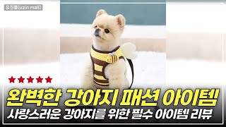 강아지를 위한 필수 아이템! 스트라이프 민소매와 티셔츠 완전 분석