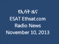 Ethsat.com ESAT Radio News November 10 2013 Ethiopia