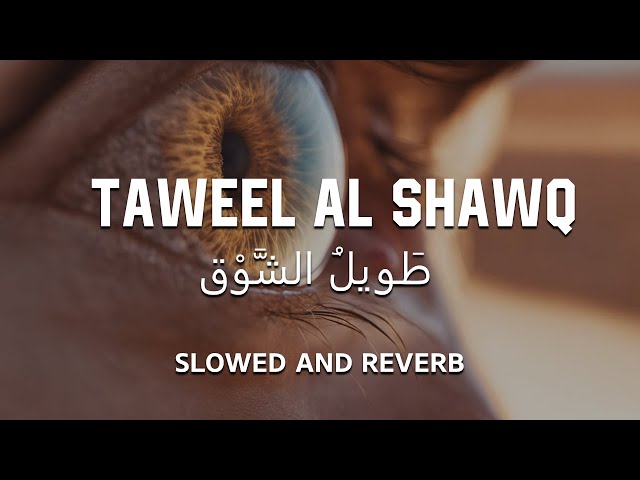 Taweel Al Shawq | Slowed + Reverb 💙 class=