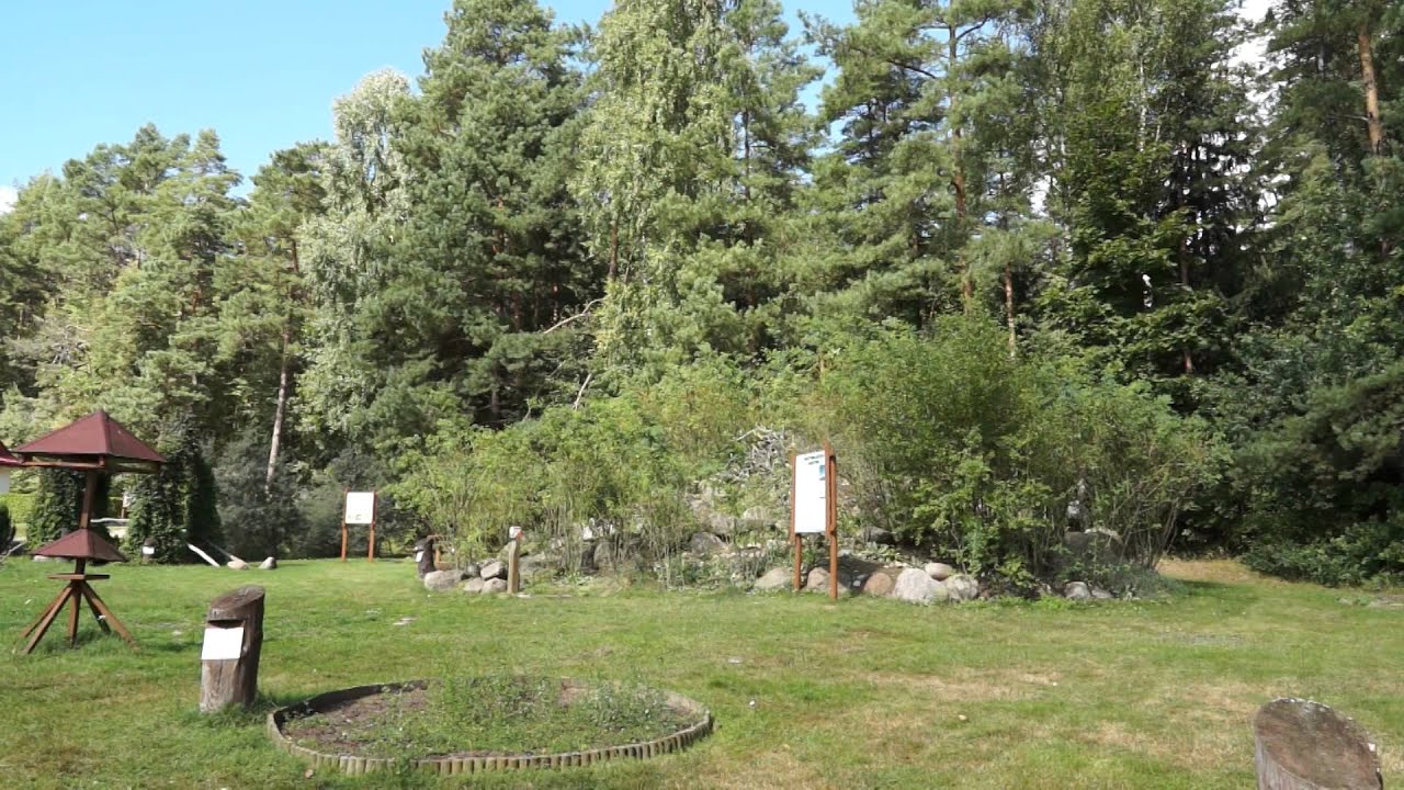 Silvarium w Poczopku